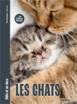 Les chats vignette